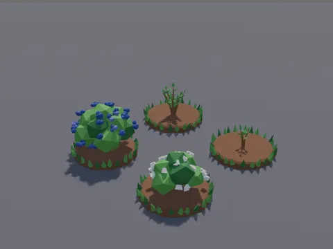 Blueberry Bush Stages