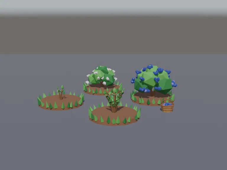 Blueberry Bush Stages, view 2