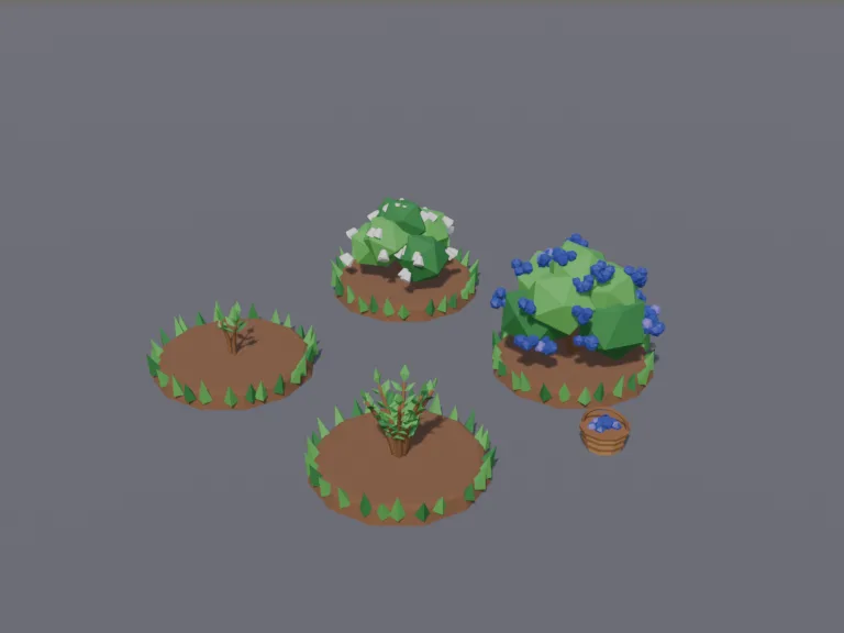 Blueberry Bush Stages, view 3