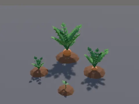 Carrot Growth Stages