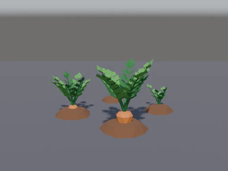 Carrot Growth Stages, view 2