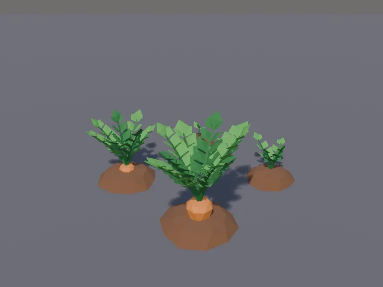 Carrot Growth Stages, view 3