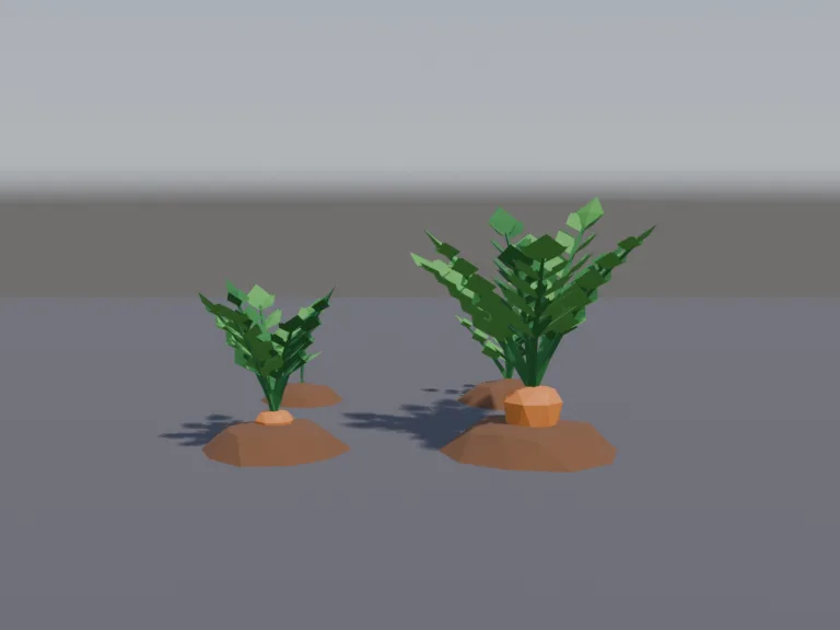 Carrot Growth Stages, view 4
