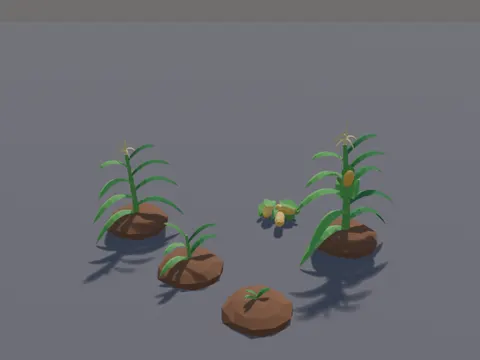 Corn Growth Stages