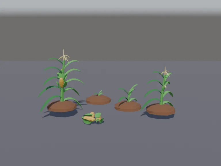 Corn Growth Stages, view 2