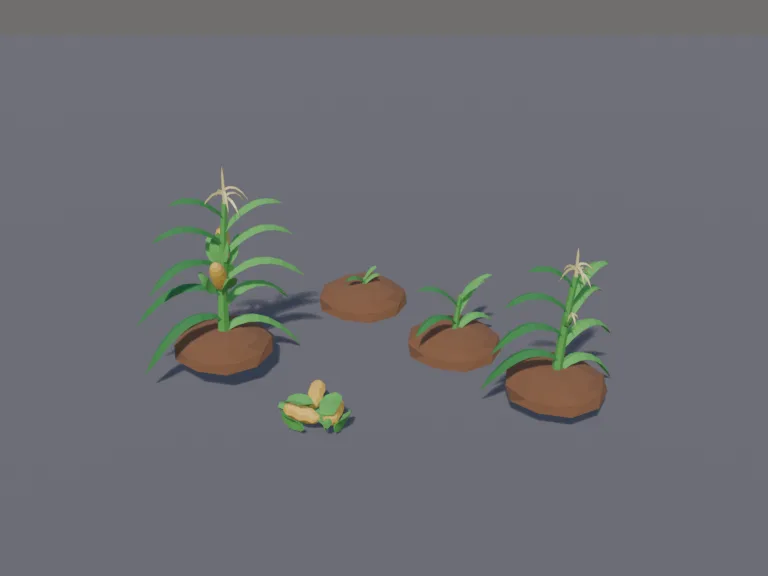 Corn Growth Stages, view 3