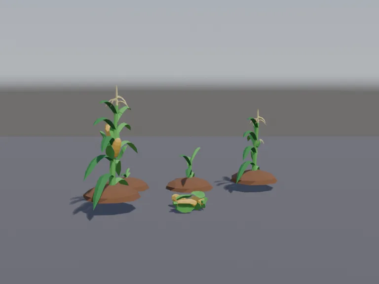 Corn Growth Stages, view 4