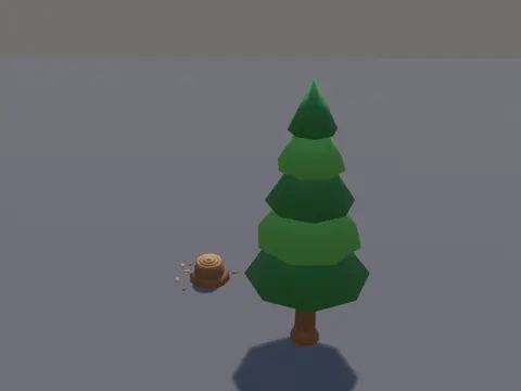 Pine Tree and Stump