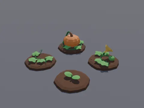 Pumpkin Growth Stages