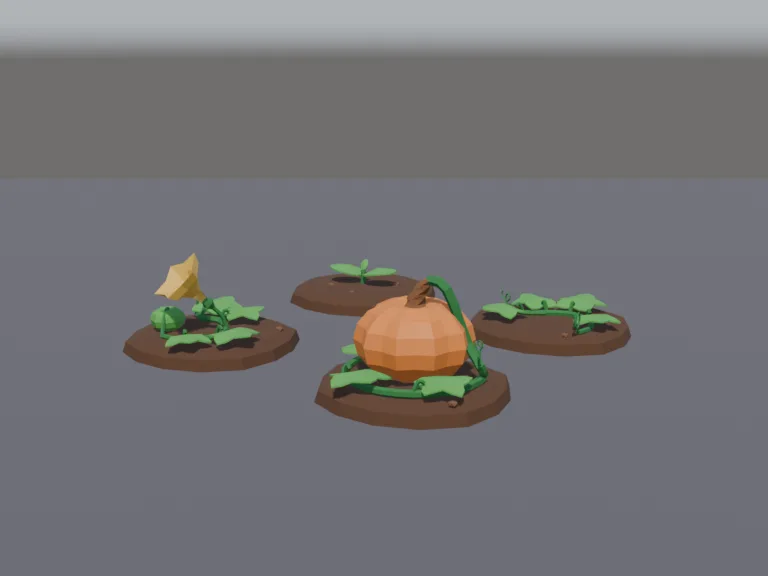 Pumpkin Growth Stages, view 2