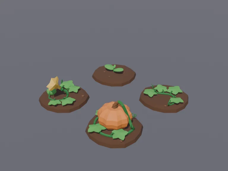 Pumpkin Growth Stages, view 3