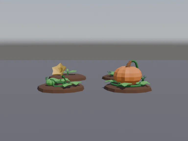 Pumpkin Growth Stages, view 4