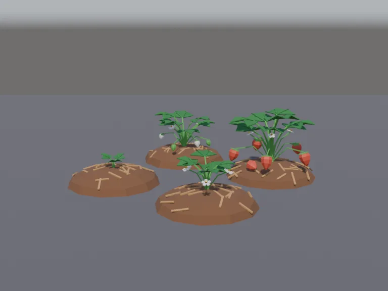 Strawberry Growth Stages, view 2