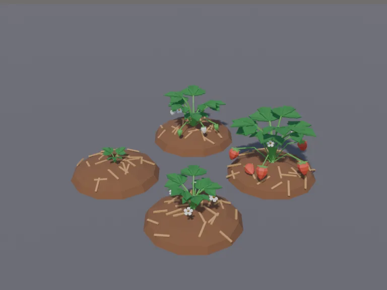 Strawberry Growth Stages, view 3