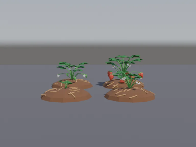 Strawberry Growth Stages, view 4