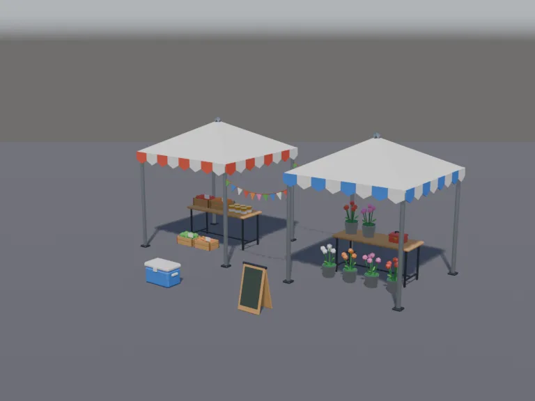 Street Market Tents, view 2