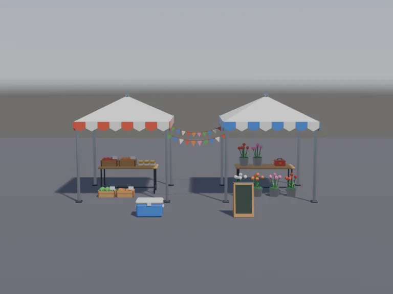 Street Market Tents, view 4