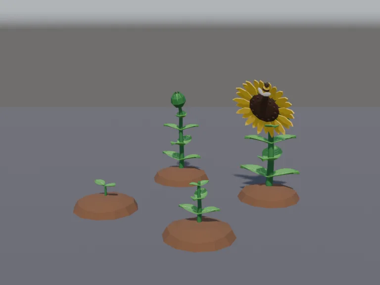 Sunflower Growth Stages, view 2