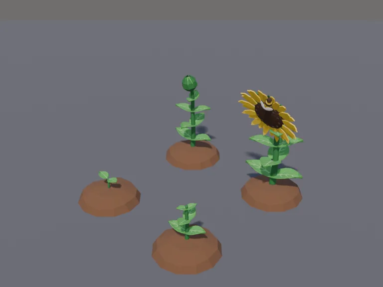 Sunflower Growth Stages, view 3