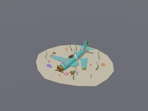 Sunken Coral Airplane