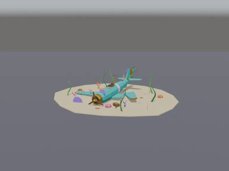 Sunken Coral Airplane, view 2