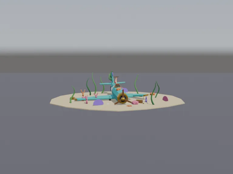 Sunken Coral Airplane, view 3
