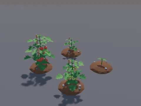 Tomato Plant Growth Stages