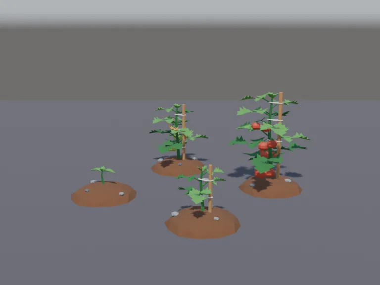Tomato Plant Growth Stages, view 2