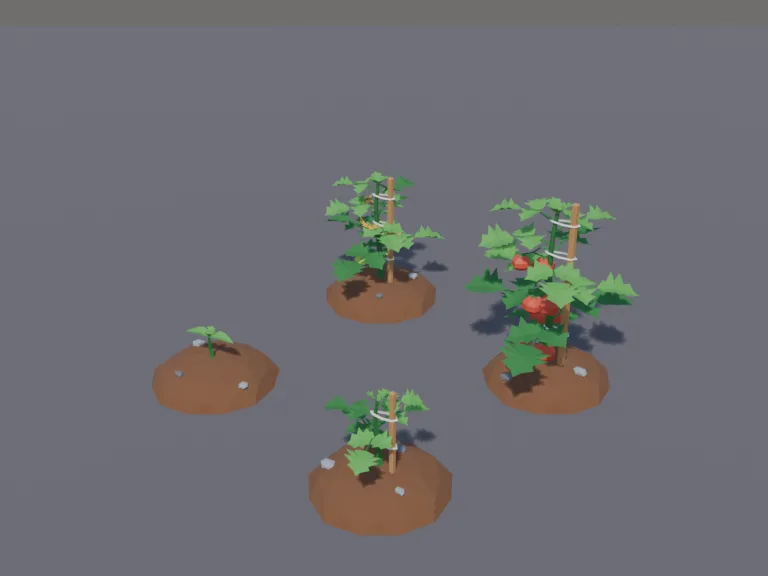 Tomato Plant Growth Stages, view 3