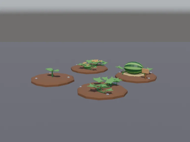 Watermelon Growth Stages, view 2