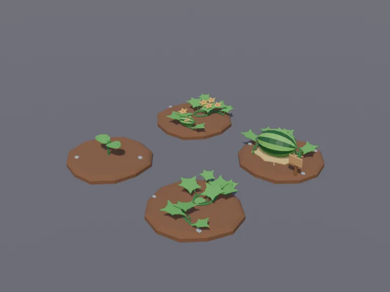 Watermelon Growth Stages, view 3