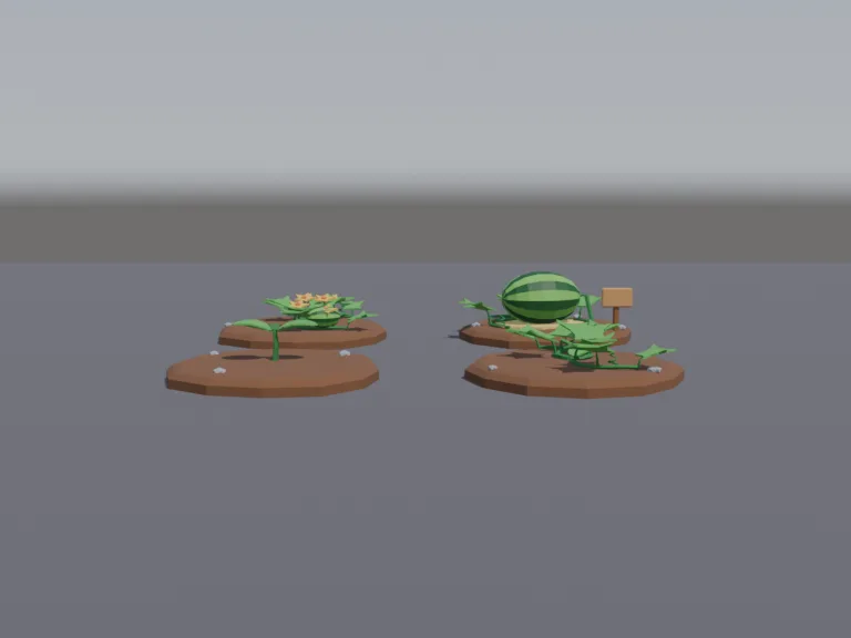Watermelon Growth Stages, view 4
