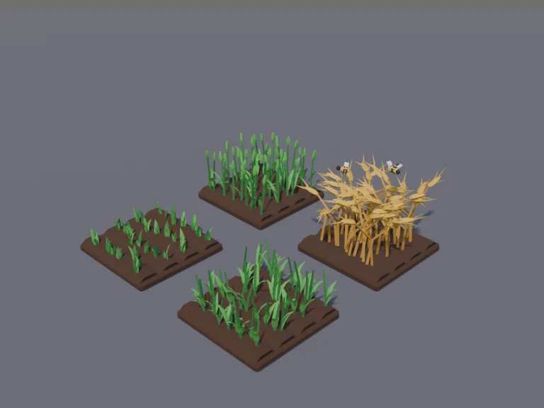 Wheat Growth Stages, view 3